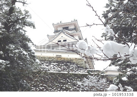 雪の積もった高知城 101953338