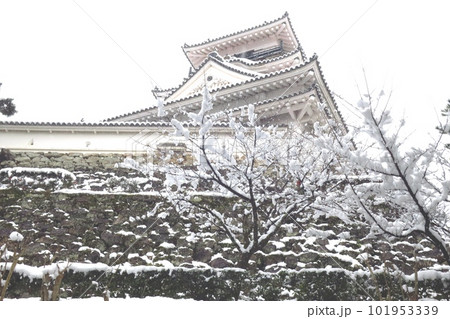 雪の積もった高知城 雪の積もった高知城 101953339