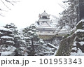 雪の積もった高知城 101953343
