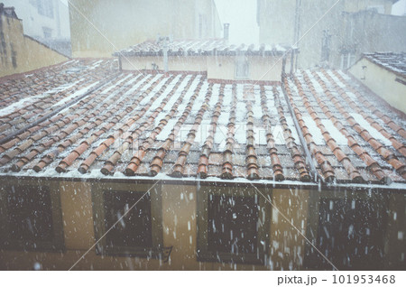 イタリア　スナップ　ヨーロッパ　フィルム　デジタル 101953468