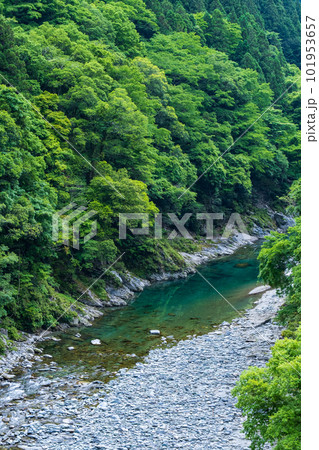 祖谷渓 祖谷渓 101953657