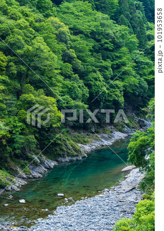 祖谷渓 101953658