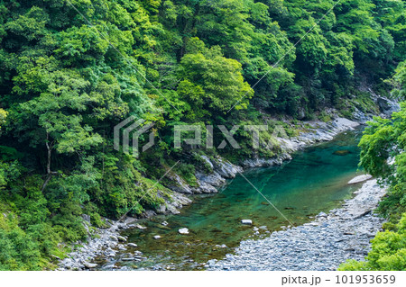 祖谷渓 祖谷渓 101953659