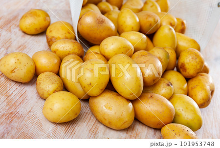 Pile of clean young potato tubers poured out of basket Pile of clean young potato tubers poured out of basket 101953748