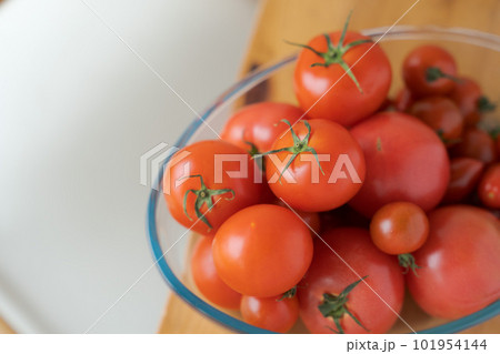 ミニトマトとトマトの盛り合わせ ミニトマトとトマトの盛り合わせ 101954144