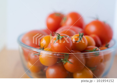 ミニトマトとトマトの盛り合わせ ミニトマトとトマトの盛り合わせ 101954152