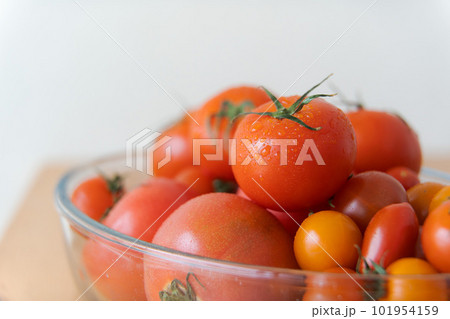 ミニトマトとトマトの盛り合わせ ミニトマトとトマトの盛り合わせ 101954159