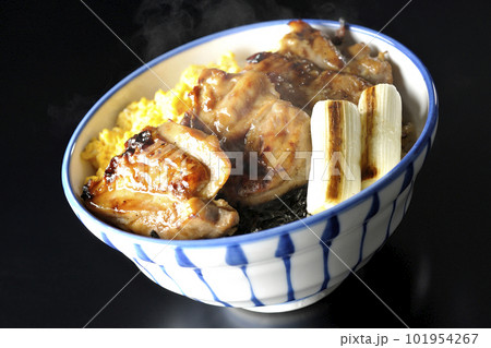 そぼろ玉子と焼き葱と刻み海苔も一緒に乗ってる熱々の照り焼きチキン丼を黒背景で撮影 そぼろ玉子と焼き葱と刻み海苔も一緒に乗ってる熱々の照り焼きチキン丼を黒背景で撮影 101954267