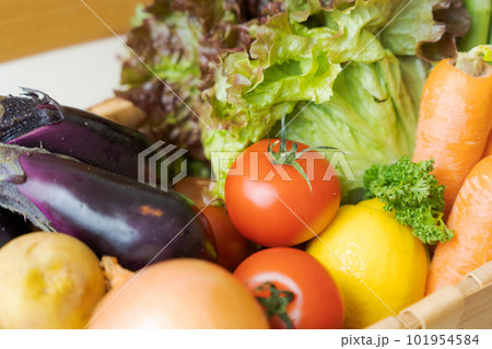 野菜がたくさん入ったカゴの写真 101954584
