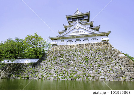 新緑の美しい小倉城 101955863