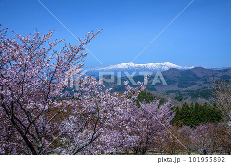 桜峠 101955892