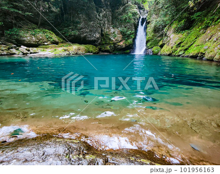 にこ淵（仁淀ブルー） 101956163