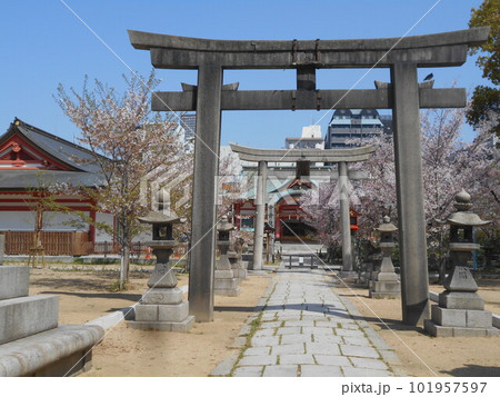 土佐稲荷神社の葉桜 土佐稲荷神社の葉桜 101957597