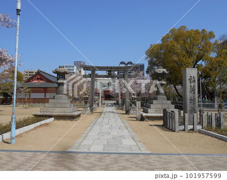 土佐稲荷神社の葉桜 101957599