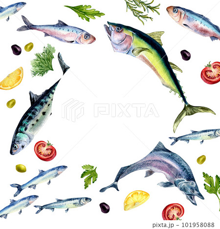 Frame of fresh fish and spices watercolor illustration isolated on white. Wild fish, tuna, salmon, herring, anchovy, tomatoes hand drawn. Design element for cookbook, signboard, menu, market, package Frame of fresh fish and spices watercolor illustration isolated on white. Wild fish, tuna, salmon, herring, anchovy, tomatoes hand drawn. Design element for cookbook, signboard, menu, market, package 101958088