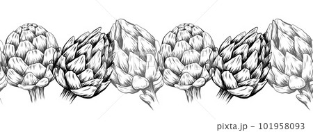 Vector seamless horizontal border with monochrome hand drawn artichokes isolated from background. Black and white natural food frame. Vector seamless horizontal border with monochrome hand drawn artichokes isolated from background. Black and white natural food frame. 101958093
