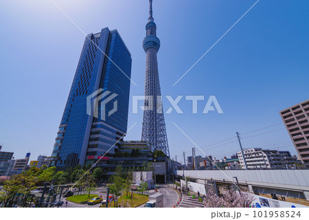 東京スカイツリー駅周辺からの風景 東京スカイツリー駅周辺からの風景 101958524