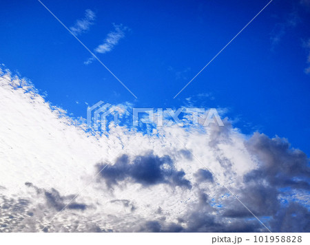 夏の青空 101958828