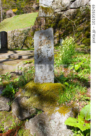 扶桑山 大鷲院 (だいじゅいん) 101959249