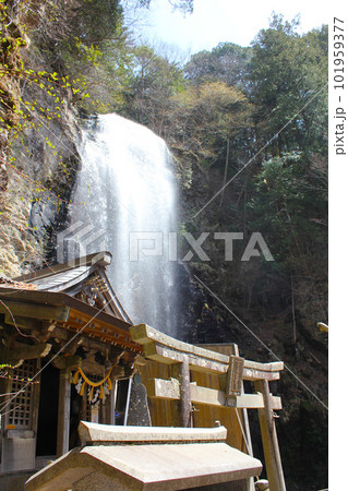 御嶽古道・清滝・清滝登山道 101959377