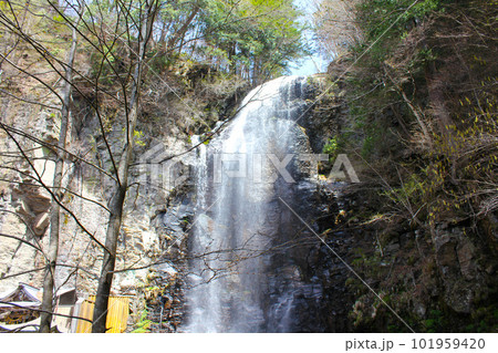御嶽古道・清滝・清滝登山道 101959420