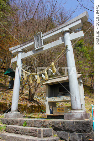 御嶽古道・清滝・清滝登山道 御嶽古道・清滝・清滝登山道 101959441