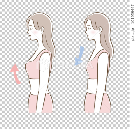 バストアップブラ・ナイトブラを着用した女性のビフォーアフターのイラスト 101959447