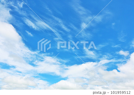 北海道 夏の青空と白い雲 北海道 夏の青空と白い雲 101959512