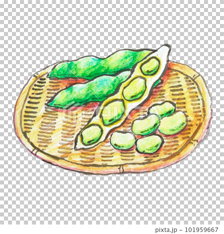 絵手紙風イラスト素材 絵手紙風イラスト素材 101959667