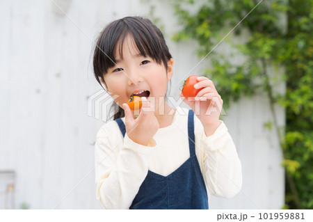 トマトを食べる女の子のポートレート 101959881