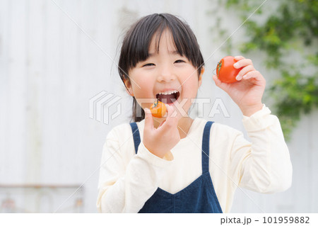 トマトを食べる女の子のポートレート 101959882