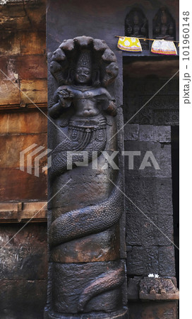 Carving of Naga Devta on the Megheshwara Temple, Bhubaneshwar, Odisha, India. Carving of Naga Devta on the Megheshwara Temple, Bhubaneshwar, Odisha, India. 101960148