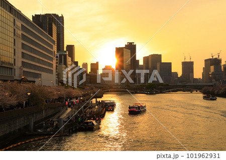 天満橋の夕景 満開の桜並木と遊覧船 天満橋の夕景 満開の桜並木と遊覧船 101962931