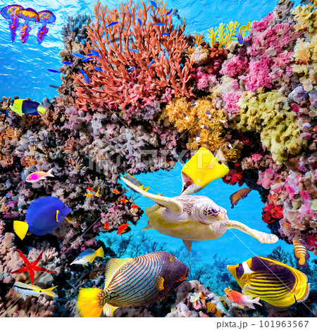 Magnificent underwater world of the tropical ocean. Magnificent underwater world of the tropical ocean. 101963567