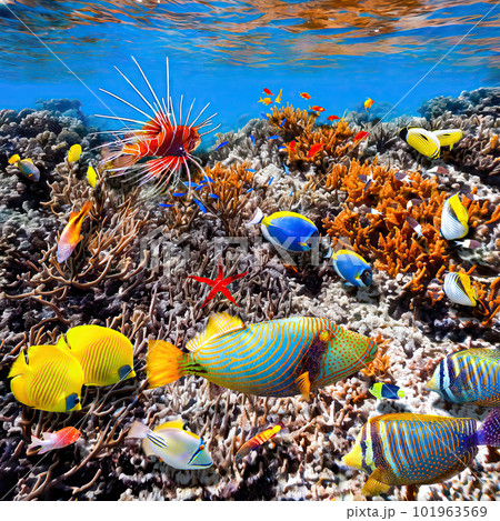 Magnificent underwater world of the tropical ocean. Magnificent underwater world of the tropical ocean. 101963569