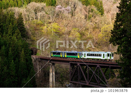 只見線　春の滝谷川橋梁を渡る列車(福島県柳津町、4月中旬) 101963876