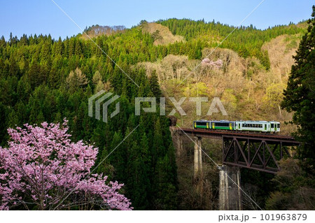 只見線 春の滝谷川橋梁を渡る列車(福島県柳津町、4月中旬) 只見線 春の滝谷川橋梁を渡る列車(福島県柳津町、4月中旬) 101963879