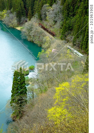 春の只見川沿いを走る只見線の早戸俯瞰(福島県三島町、4月中旬) 春の只見川沿いを走る只見線の早戸俯瞰(福島県三島町、4月中旬) 101963908