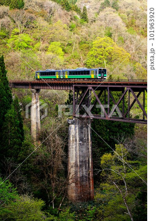 只見線　春の滝谷川橋梁を渡る列車キハE120形(福島県柳津町、4月下旬) 101963920