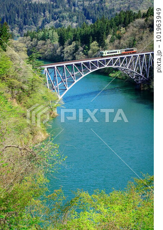 只見線　新緑の第一只見川橋梁を渡る列車(福島県三島町、4月下旬) 101963949
