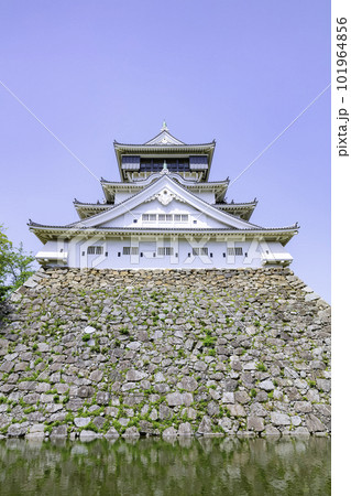 新緑の美しい小倉城 101964856