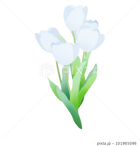 白いチューリップの花束 101965096