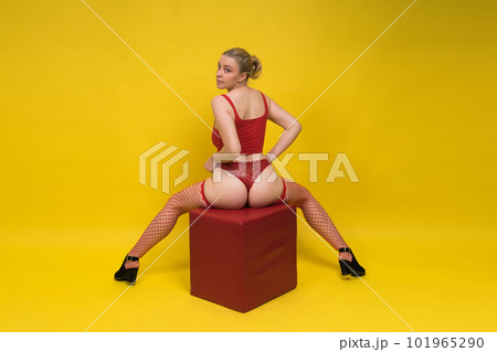 Studio portrait gorgeous young woman in lingerie, blonde beauty in professional makeup. Studio portrait gorgeous young woman in lingerie, blonde beauty in professional makeup. 101965290