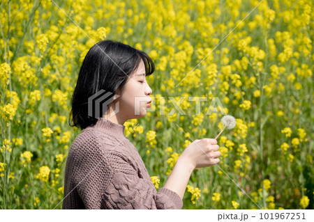 菜の花畑でタンポポの種を飛ばす女性 菜の花畑でタンポポの種を飛ばす女性 101967251