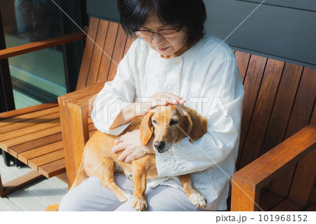 犬を抱っこするシニア女性 犬を抱っこするシニア女性 101968152