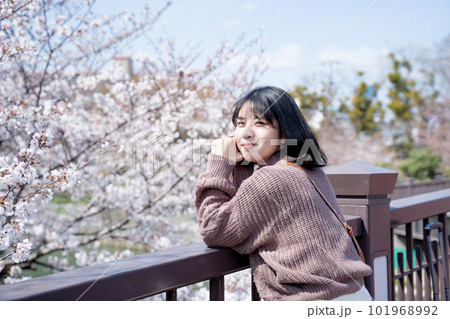 桜の下の橋の上でポーズをとる女性 桜の下の橋の上でポーズをとる女性 101968992