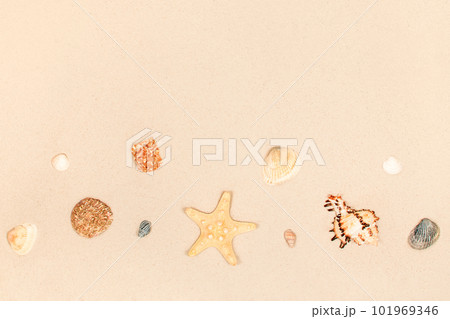 Starfish and shells on the sand as a background. Copyspace. Summer beach. Starfish and shells on the sand as a background. Copyspace. Summer beach. 101969346