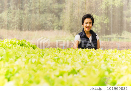 Happy woman farmer standing in hydroponic organic vegetable farm. 101969882