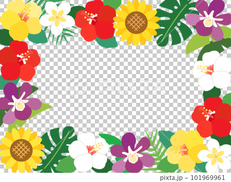 芙蓉、向日葵等夏季花卉的熱帶框架 芙蓉、向日葵等夏季花卉的熱帶框架 101969961