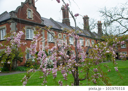 ウィンチェスター 101970318